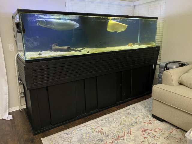 For Sale 300 and 100 gallon fish tank MonsterFishKeepers