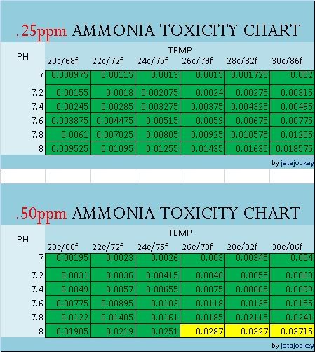 Ammonia Toxicity at 0.25 and 0.5 TAN.jpg