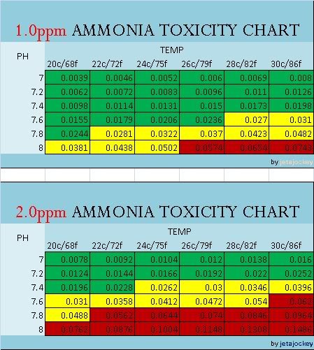 Ammonia Toxicity at 1.0 and 2.0 TAN.jpg