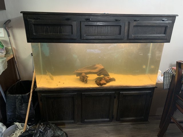 For Sale - Aquarium | MonsterFishKeepers.com