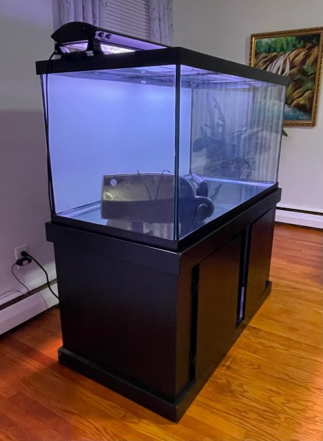 For Sale 120 Gallon Fish Tank Aquarium MonsterFishKeepers