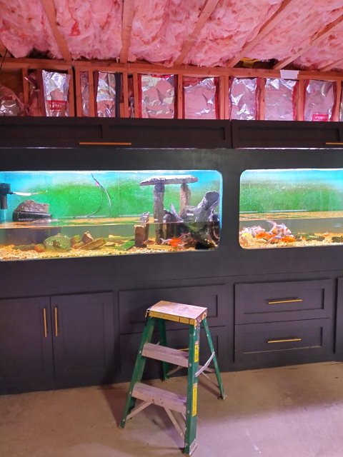 first water change Cleveland.jpg