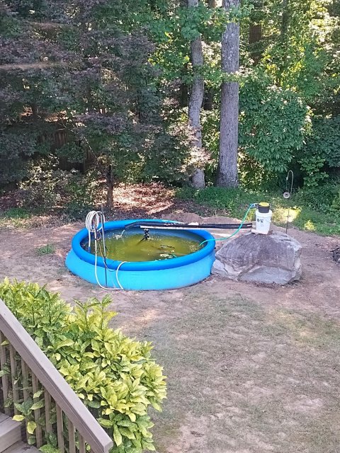 Backyard water treatment facility, very exciting!.jpg