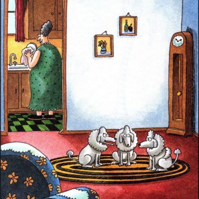 far side poodles.jpg