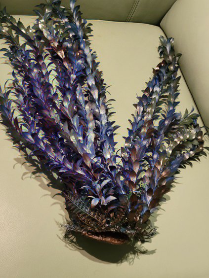 blue plant 2.jpg