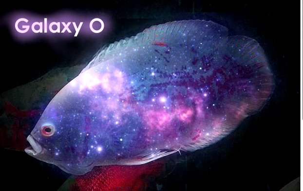 galaxy O.JPG