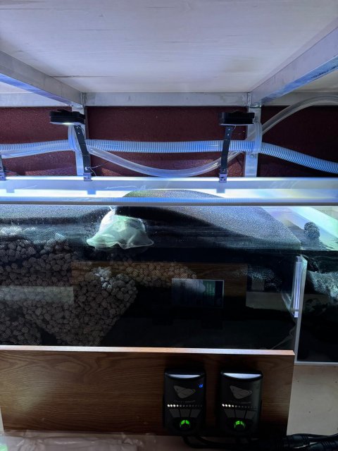 Sump2 with 100 liters of Pond Matrix 13-Nov-2024.jpeg