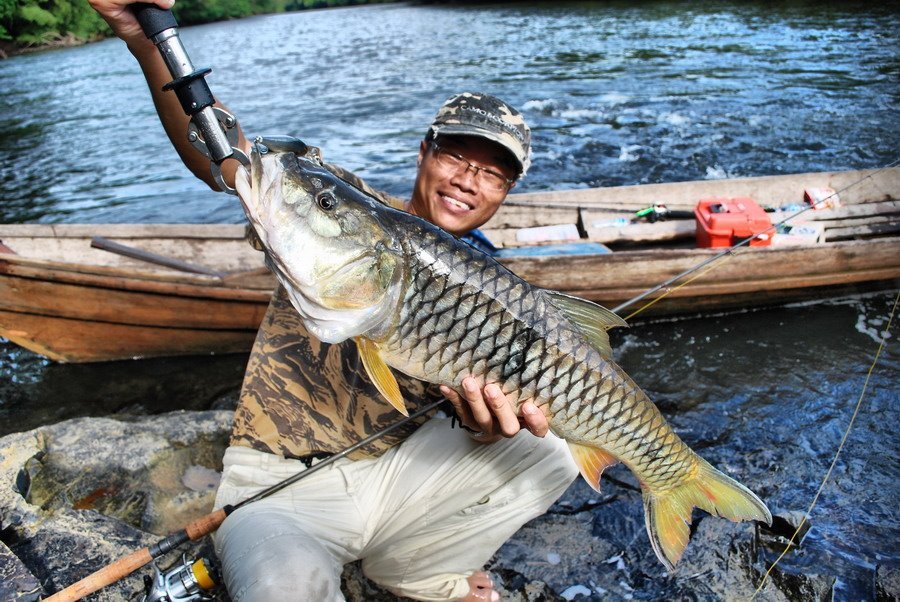 jungle perch 3  big fishes huge world record caught records largest IGFA gigante pesce biggest...jpg