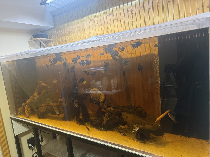 300gallon1.JPG