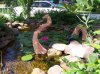 Pond-Nessie in Pond_2004.JPG