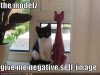 funny-pictures-self-image-cat.jpeg