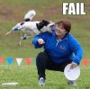 Fail Dog.jpg