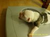 1 day old 013.jpg