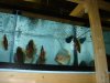 DSC00885.JPG