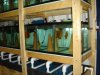 DSC00896.JPG