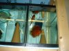 DSC00897.JPG