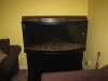 new fish pics 028.jpg