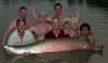 arapaima gigas group shot march 7 2008.jpg