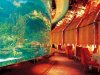 Interior_Aquarium_in_restaurant_004983_.jpg