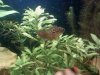 downsized_0314092209.jpg