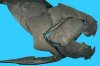 dunkleosteus terrelli fossil.jpg