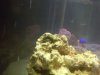 sponge4.jpg