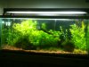 tank update 010.JPG