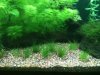 tank update 011.JPG