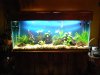 MY 110G TANK 001.JPG