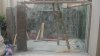 DSC00706.JPG
