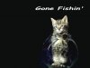 gone-fishing-cute-cats-backgrounds.jpg