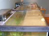 2010_0215Newtank0003.JPG