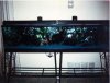 Aquarium 6 Ft Tank Two Supreme HOBs 1975.JPG