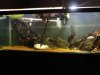 300 gal tank 004.JPG