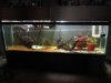 300 gal tank 003.JPG