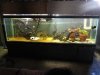 300 gal tank 002.JPG