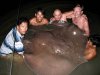 FreshwaterStingraylanded198lb04.jpg