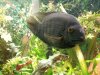 20130606_190509.jpg