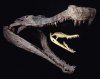 Crocodiliens-Sarcosuchus.jpg