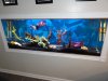 fish tank 017.JPG