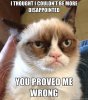 49868-Grumpy-cat-valentines-day-meme-6ka9.jpg