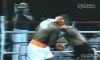 1319215840_mike_tyson_uppercut.gif