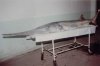 paddlefish_4.jpg