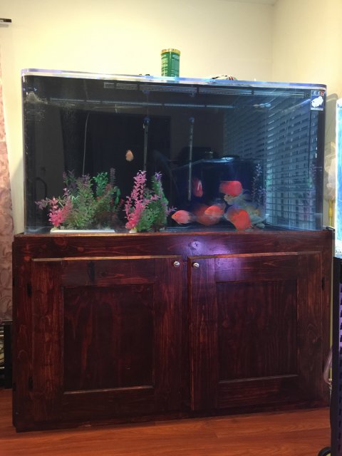 60 gallon acrylic store aquarium