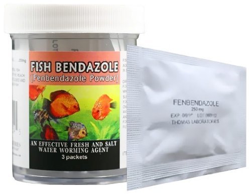 levamisole hcl for fish