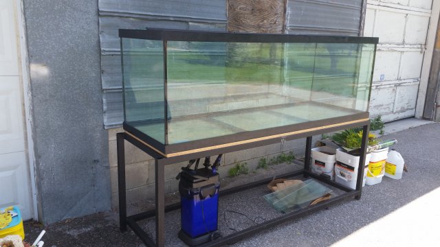 20150626_122615.jpg