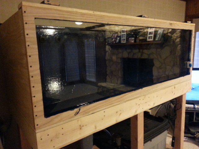 6' x 3' x 2' Plywood Aquarium Build w/pictures | MonsterFishKeepers.com