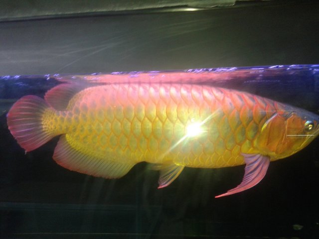 20150129_182835.jpg