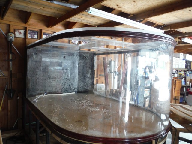 2000 gallon hotsell fish tank