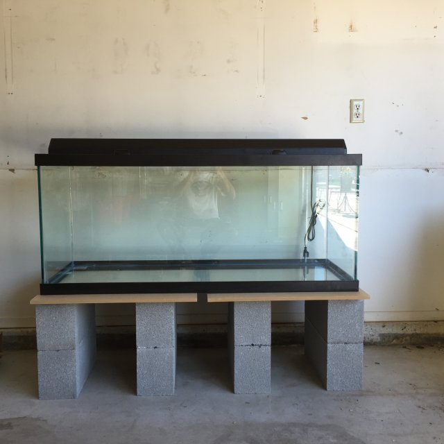 modern stand with 2 doors for 75 gall aqarium tank